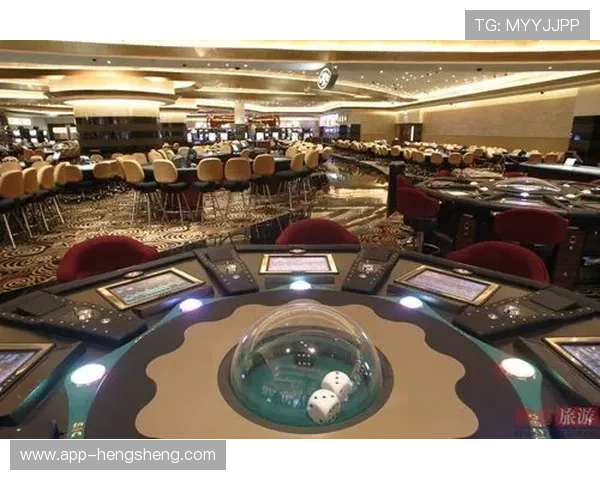 新加坡金沙网上赌场的游戏种类丰富多样满足不同玩家的娱乐需求